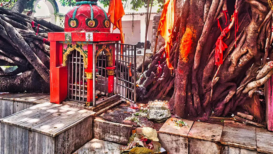 Pitra Dosh Puja  Service